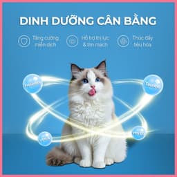 Pate sữa dê cho mèo FAENBEI gói 85g - Với 3 vị thơm ngon từ thịt gà và cá, dễ ăn và tiêu hóa 6