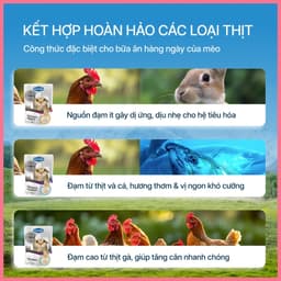 Pate sữa dê cho mèo FAENBEI gói 85g - Với 3 vị thơm ngon từ thịt gà và cá, dễ ăn và tiêu hóa 4