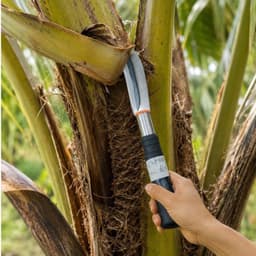 Dao Rửa Dừa 3 Tấc Đa Dụng Chất Liệu Thép Không Gỉ Cao Cấp Sắc Bén Siêu Bền Hiệu Quả Cao Hàng Nhập Khẩu Chính Hãng 8