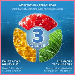 Pate mèo có viên tinh thể FAENBEI gói 70g - Viên dinh dưỡng giúp giảm búi lông, da & lông chắc khỏe 5