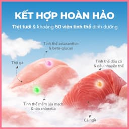 Pate mèo có viên tinh thể FAENBEI gói 70g - Viên dinh dưỡng giúp giảm búi lông, da & lông chắc khỏe 3
