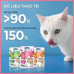 Pate mèo có viên tinh thể FAENBEI gói 70g - Viên dinh dưỡng giúp giảm búi lông, da & lông chắc khỏe 7