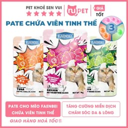 Pate mèo có viên tinh thể FAENBEI gói 70g - Viên dinh dưỡng giúp giảm búi lông, da & lông chắc khỏe 1