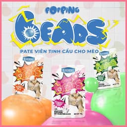 Pate mèo có viên tinh thể FAENBEI gói 70g - Viên dinh dưỡng giúp giảm búi lông, da & lông chắc khỏe 2