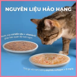Pate mèo có viên tinh thể FAENBEI gói 70g - Viên dinh dưỡng giúp giảm búi lông, da & lông chắc khỏe 4
