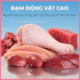 [3 Vị] Pate mèo dạng mousse FAENBEI gói 85g | Chất pate mousse sánh mịn, mềm, dễ tiêu hóa 4