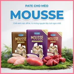 [3 Vị] Pate mèo dạng mousse FAENBEI gói 85g | Chất pate mousse sánh mịn, mềm, dễ tiêu hóa 2