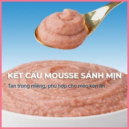 [3 Vị] Pate mèo dạng mousse FAENBEI gói 85g | Chất pate mousse sánh mịn, mềm, dễ tiêu hóa 3
