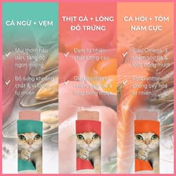 |Hộp 30 thanh| Súp thưởng cho mèo FAENBEI 15g | Hàm lượng dinh dưỡng cao, chống oxyhóa, taurine 4
