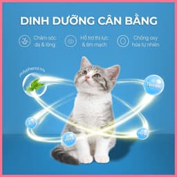 |Hộp 30 thanh| Súp thưởng cho mèo FAENBEI 15g | Hàm lượng dinh dưỡng cao, chống oxyhóa, taurine 6