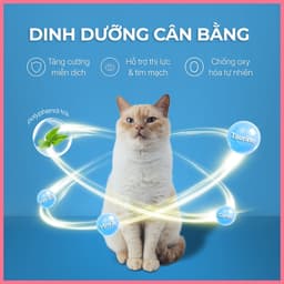 [Gói 4 thanh x 15g] Súp thưởng cho mèo dạng kem FAENBEI kết cấu sánh mịn 6