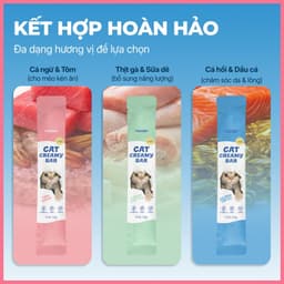 [Gói 4 thanh x 15g] Súp thưởng cho mèo dạng kem FAENBEI kết cấu sánh mịn 5