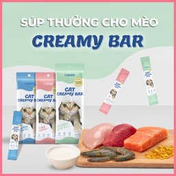 [Gói 4 thanh x 15g] Súp thưởng cho mèo dạng kem FAENBEI kết cấu sánh mịn 2