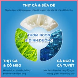 Pate cho mèo FAENBEI, Pate nắp vặn cho mèo gói 90g - Thức ăn ướt cho mèo giàu dinh dưỡng 5