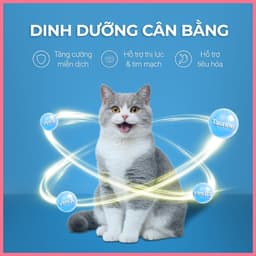 Pate cho mèo FAENBEI, Pate nắp vặn cho mèo gói 90g - Thức ăn ướt cho mèo giàu dinh dưỡng 6