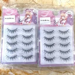 Hộp Mi Giả MOLLYHAIR Sẵn Keo Tiện Lợi Đủ Mẫu - Mi Tự Nhiên, Dễ Gắn, Không Cần Keo Phụ, Bền Đẹp Cả Ngày 4