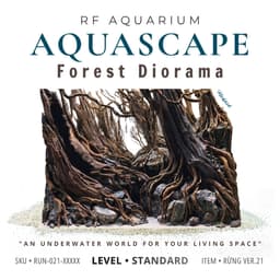 Layout Rừng Ver.21 | Nghệ Thuật Tái Tạo Cảnh Quan Tự Nhiên | Điểm Nhấn Cho Bể Cá | RF Aquarium 1