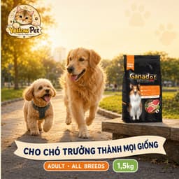 Hạt Cho Chó Ganador Premium Vị Cừu - 1.5kg Thịt Cừu Thật Cho Chó Trưởng Thành Mọi Giống | YLP Market 3