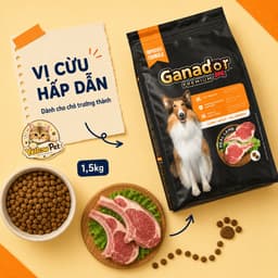 Hạt Cho Chó Ganador Premium Vị Cừu - 1.5kg Thịt Cừu Thật Cho Chó Trưởng Thành Mọi Giống | YLP Market 2