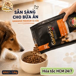 Hạt Cho Chó Ganador Premium Vị Cừu - 1.5kg Thịt Cừu Thật Cho Chó Trưởng Thành Mọi Giống | YLP Market 4