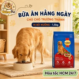 (1.5kg) Hạt Cún SmartHeart Adult Vị Bò Nướng - Thức Ăn Hạt Cho Chó Trưởng Thành | YLP Market 6