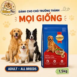 (1.5kg) Hạt Cún SmartHeart Adult Vị Bò Nướng - Thức Ăn Hạt Cho Chó Trưởng Thành | YLP Market 5