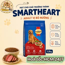 (1.5kg) Hạt Cún SmartHeart Adult Vị Bò Nướng - Thức Ăn Hạt Cho Chó Trưởng Thành | YLP Market 1