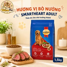(1.5kg) Hạt Cún SmartHeart Adult Vị Bò Nướng - Thức Ăn Hạt Cho Chó Trưởng Thành | YLP Market 3