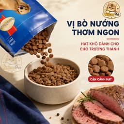 (1.5kg) Hạt Cún SmartHeart Adult Vị Bò Nướng - Thức Ăn Hạt Cho Chó Trưởng Thành | YLP Market 2