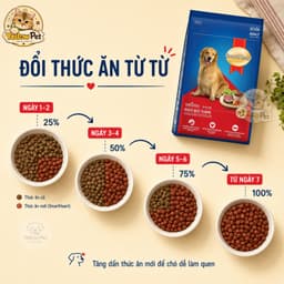 (1.5kg) Hạt Cún SmartHeart Adult Vị Bò Nướng - Thức Ăn Hạt Cho Chó Trưởng Thành | YLP Market 4