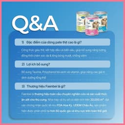 Pate lon dạng mousse FAENBEI 375g, thức ăn ướt cho mèo giàu đạm, bổ sung omega 3 từ cá hồi 8