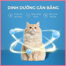 Pate lon dạng mousse FAENBEI 375g, thức ăn ướt cho mèo giàu đạm, bổ sung omega 3 từ cá hồi 6