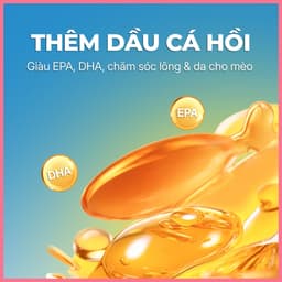 Pate lon dạng mousse FAENBEI 375g, thức ăn ướt cho mèo giàu đạm, bổ sung omega 3 từ cá hồi 5