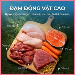 Pate lon dạng mousse FAENBEI 375g, thức ăn ướt cho mèo giàu đạm, bổ sung omega 3 từ cá hồi 3