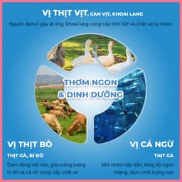 [HỎA TỐC] Thức ăn ướt cho chó dạng mềm mịn FAENBEI gói 130g, pate chó kết hợp giữa thịt và rau củ 3