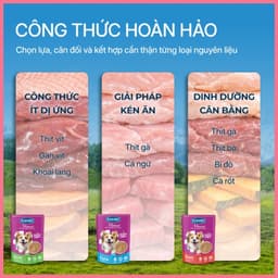 [HỎA TỐC] Thức ăn ướt cho chó dạng mềm mịn FAENBEI gói 130g, pate chó kết hợp giữa thịt và rau củ 4