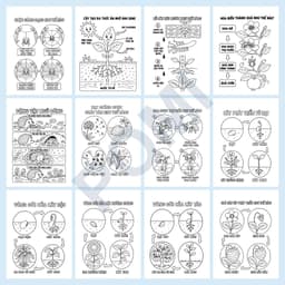 Set Tranh Tô Màu Khám Phá Thế Giới Khoa Học Tự Nhiên Dành Cho Bé Mầm Non Tiểu Học - Học Liệu POMI 5