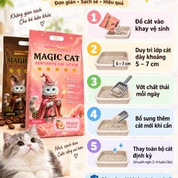 Cát Mèo Magic Cat 8L - 4KG | Cát Bentonite Vón Cục Nhanh Ít Bụi Khử Mùi 3 Hương Đào, Cà Phê, Chanh 3