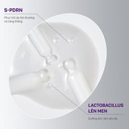 Serum PDRN CNP Laboratory Derma Answer Active Boost Ampule 30ml Dưỡng Sáng, Cấp Ẩm Và Săn Mịn Da 7
