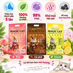 [Tải 4 Túi] Cát Mèo Magic Cat 8L~ 4KG| Cát Đất Sét Than Hoạt Tính Vón Nhanh , Hạn Chế Bụi Gây Dị Ứng 6