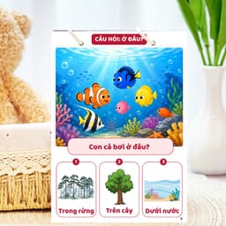 Thẻ Flash EVON BABY dạy bé tập nói - Bé Tư Duy Hỏi Đáp Rèn Phản Xạ Trả Lời Câu Hỏi 5