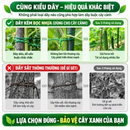 Cuộn dây kẽm bọc nhựa buộc đồ buộc cây cảnh đa năng kèm dao cắt 4