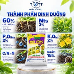 Phân bón Mai vàng, bao 5kg, Dưỡng cây, đâm chồi, ra rễ mạnh, Phân Bón TOTT Mai vàng 3