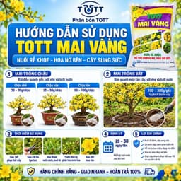 Phân bón Mai vàng, bao 5kg, Dưỡng cây, đâm chồi, ra rễ mạnh, Phân Bón TOTT Mai vàng 5