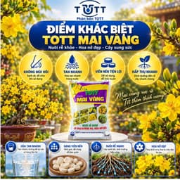 Phân bón Mai vàng, bao 5kg, Dưỡng cây, đâm chồi, ra rễ mạnh, Phân Bón TOTT Mai vàng 4