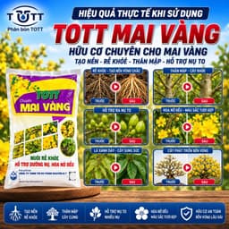 Phân bón Mai vàng, bao 5kg, Dưỡng cây, đâm chồi, ra rễ mạnh, Phân Bón TOTT Mai vàng 2