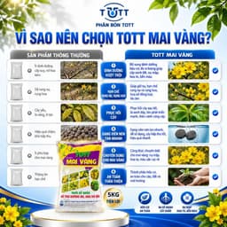 Phân bón Mai vàng, bao 5kg, Dưỡng cây, đâm chồi, ra rễ mạnh, Phân Bón TOTT Mai vàng 6