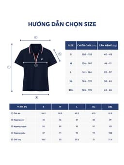 Áo Polo Nữ Yody Bo Phối Màu Cổ V Slim Thấm Hút Mềm Mại WAPO26A029 8