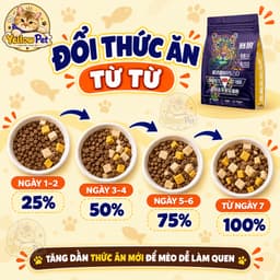 Hạt Mèo Langlike 5kg Chính Hãng - Dinh Dưỡng Cân Bằng Cho Mèo Mọi Lứa Tuổi 6