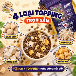 Hạt Mèo Langlike 5kg Chính Hãng - Dinh Dưỡng Cân Bằng Cho Mèo Mọi Lứa Tuổi 2